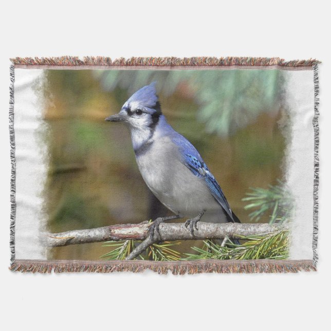 Blue Jay 1 Throw Blanket Mysfilt (Framsidan)