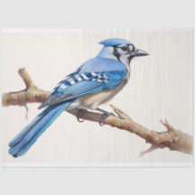 Blue Jay 3 Decoupage Papper