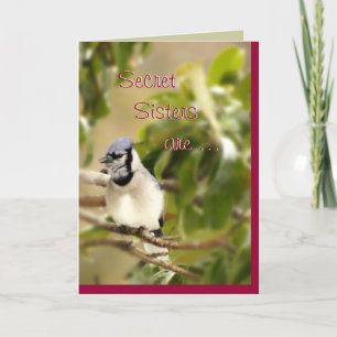 Blue Jay 6435 Secret Sister- anpassa Kort