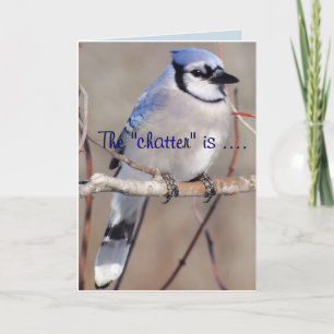 Blue Jay 8883 - anpassa alla tillfälle Kort