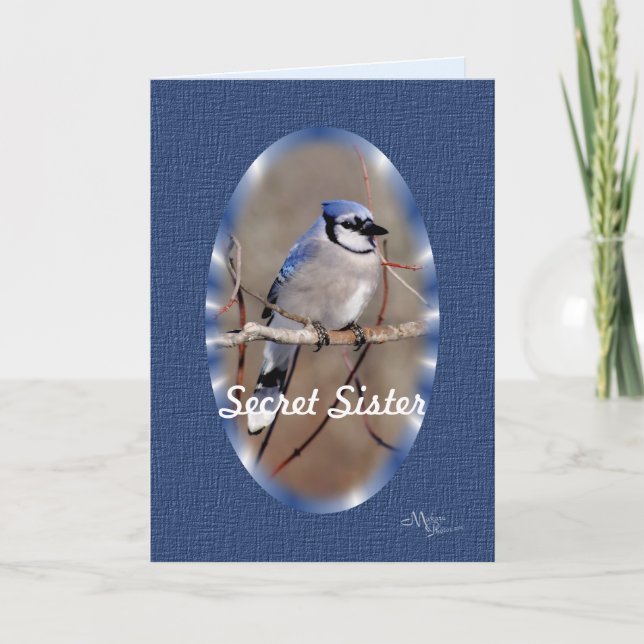 Blue Jay 8883- anpassa Kort (Framsida)