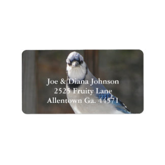 Blue Jay Address Label Adressetikett