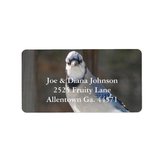 Blue Jay Address Label Adressetikett (Framsidan)