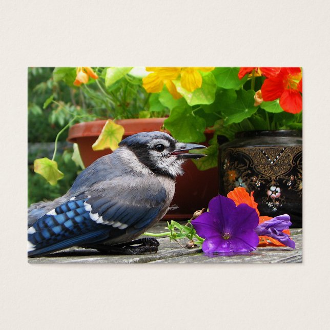 Blue Jay and Flowers ATC Visitkort (Framsidan)