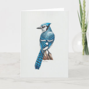 Blue Jay Art Card Tack Kort