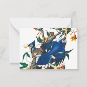 Blue Jay av John James Audubon Anteckningskort