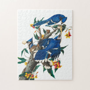 Blue Jay av John James Audubon Pussel