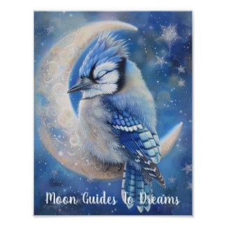 Blue Jay bird baby sover på Måne Fototryck