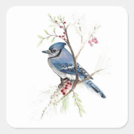 Blue Jay Bird Berries Square Sticker Fyrkantigt Klistermärke