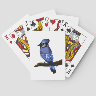 Blue Jay Bird Casinokort
