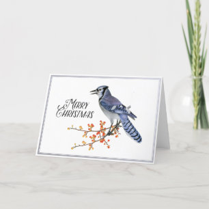 Blue Jay Bird God jul Berry Silver Nature Helgkort