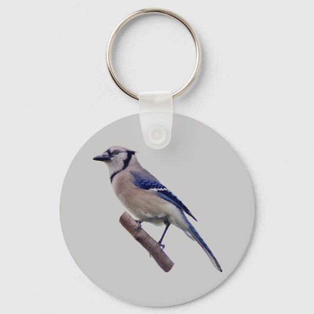 Blue Jay Bird Nyckelring (Framsida)