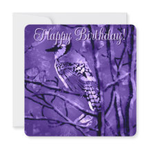 Blue Jay Bird Rosa Abstrakt Art Personlig