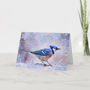 Blue Jay Bird Snö Winter-julkort Kort