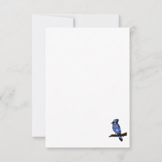 Blue Jay Bird Tack Kort