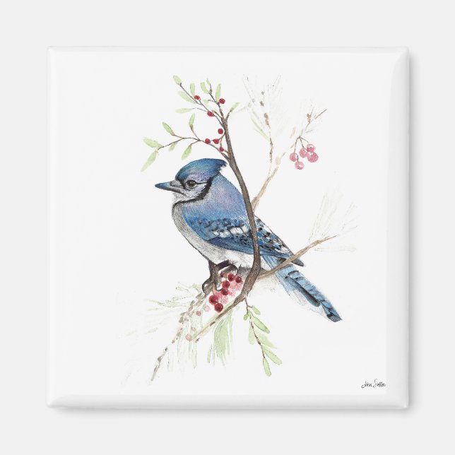 Blue Jay Bird Watercolor Art Magnet (Framsidan)