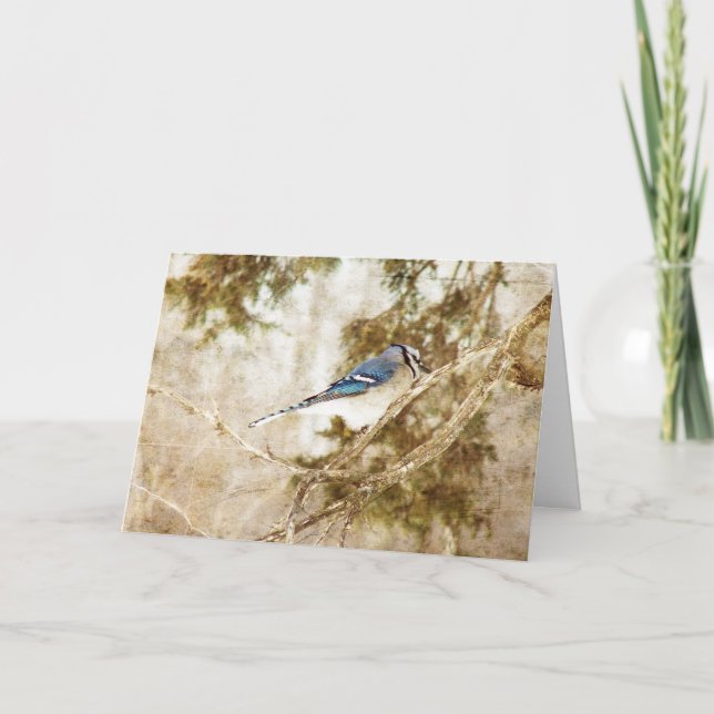 Blue Jay, Birthday Kort (Framsida)