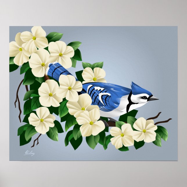 Blue Jay Bland Dogwood Flower Poster (Framsidan)