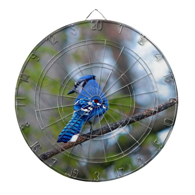 Blue Jay Darttavla (Framsidan)