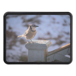 Blue Jay Dragkroksskydd