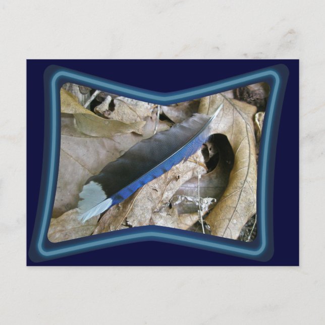 Blue Jay Feather Coordinating Items Vykort (Framsida)