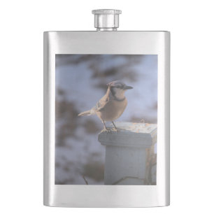 Blue Jay Fickplunta