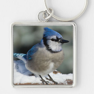 Blue Jay Fyrkantig Silverfärgad Nyckelring
