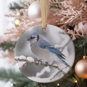 Blue Jay i Algonquin Park Julgransprydnad Keramik