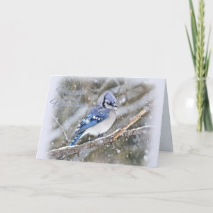 Blue Jay i Snö jul Helgdag Helgkort