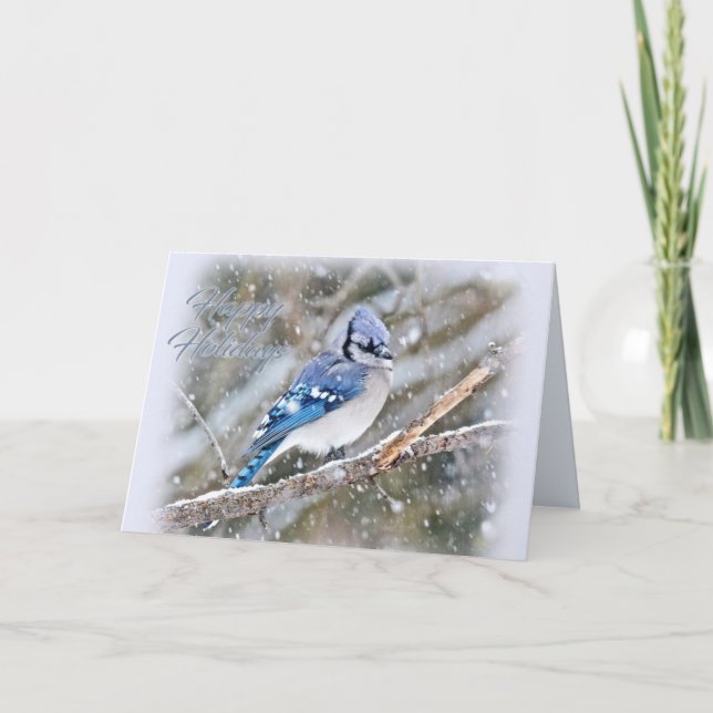 Blue Jay i Snö jul Helgdag Helgkort (Framsida)