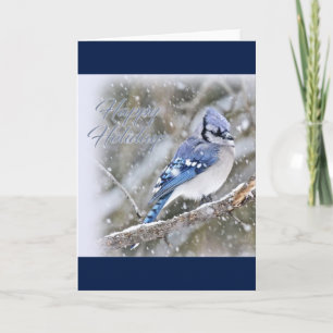 Blue Jay i Snö jul Helgdag Helgkort