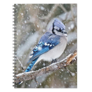 Blue Jay i Snowstorm Anteckningsbok