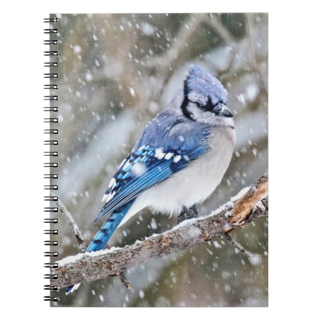 Blue Jay i Snowstorm Anteckningsbok (Framsidan)