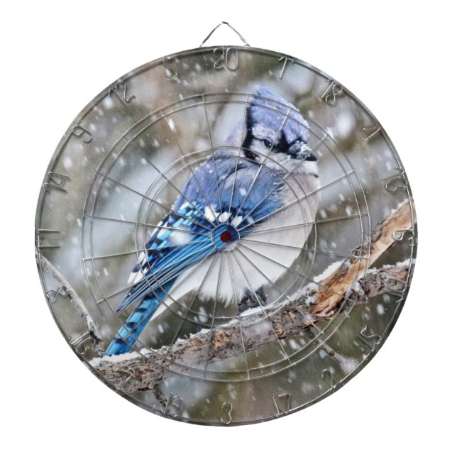 Blue Jay i Snowstorm Darttavla (Framsidan)