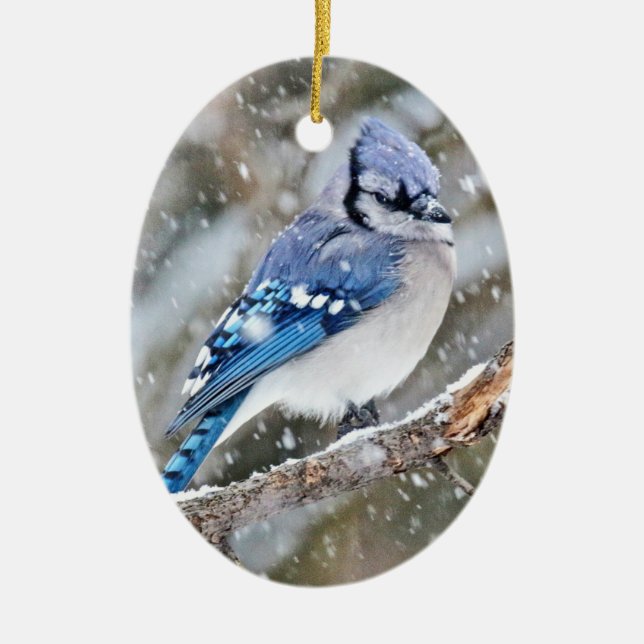 Blue Jay i Snowstorm Julgransprydnad Keramik (Framsidan)