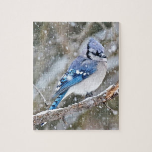 Blue Jay i Snowstorm Pussel