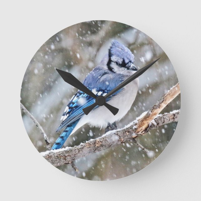 Blue Jay i Snowstorm Rund Klocka (Framsida)