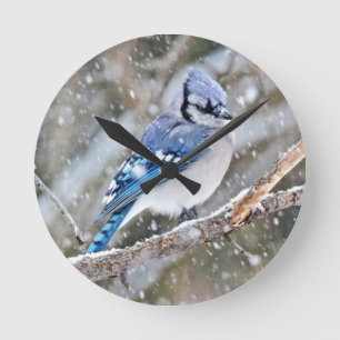 Blue Jay i Snowstorm Rund Klocka