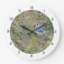 Blue Jay i södra Vax Myrtle Wall Clock