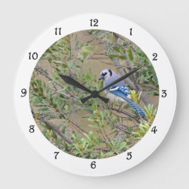 Blue Jay i södra Vax Myrtle Wall Clock Stor Klocka