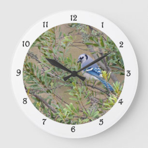 Blue Jay i södra Vax Myrtle Wall Clock Stor Klocka