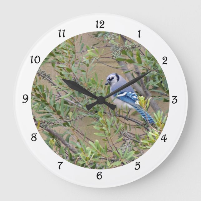 Blue Jay i södra Vax Myrtle Wall Clock Stor Klocka (Framsida)