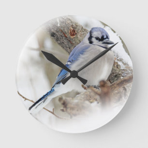 Blue Jay i Winter Snö Rund Klocka