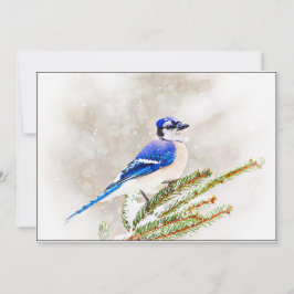 Blue Jay in Snowy Pine Tree Julkort