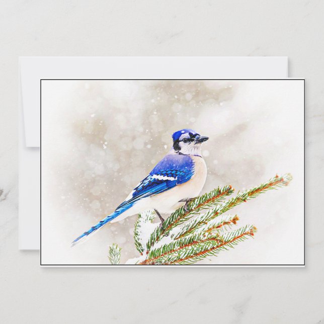 Blue Jay in Snowy Pine Tree Julkort (Framsida)