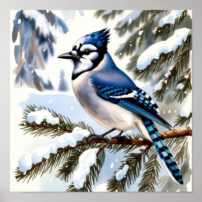 Blue Jay in Snowy Pines Watercolor Winter Bird Poster (Framsidan)