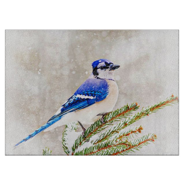 Blue Jay in Winter (Framsidan)