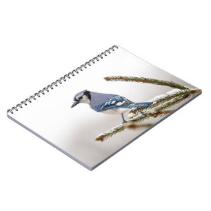 Blue Jay in Winter Anteckningsbok Med Spiral