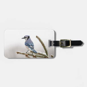 Blue Jay in Winter Bagagebricka