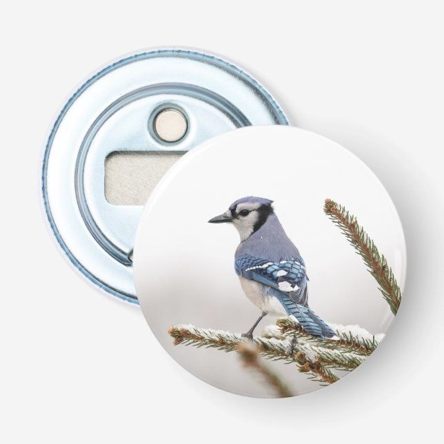Blue Jay in Winter Flasköppnare (Framsidan)